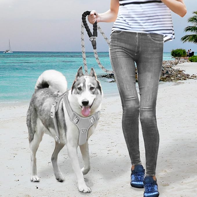 BARKBAY No Pull Dog Harness Large Reflective Dog Harness with Front Clip and Easy Control Handle for Walking Training Running with ID tag Pocket(Grey,L)