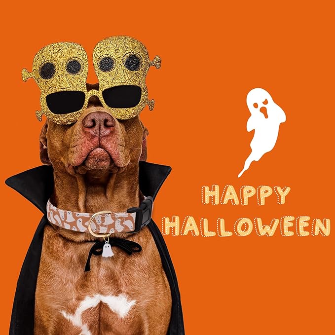 Faygarsle Fall Dog Collar - Adorable Ghost Pattern for Small, Medium & Large Dogs - Cute Orange Neckwear for Boys & Girls