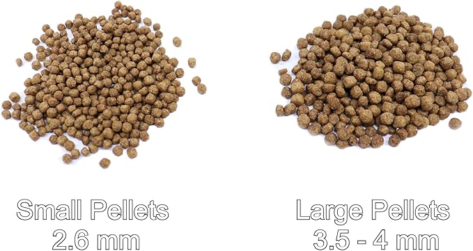 Sho Koi Impact Fish Food - Large Floating Pellets (5.5 mm) 1.5 lbs