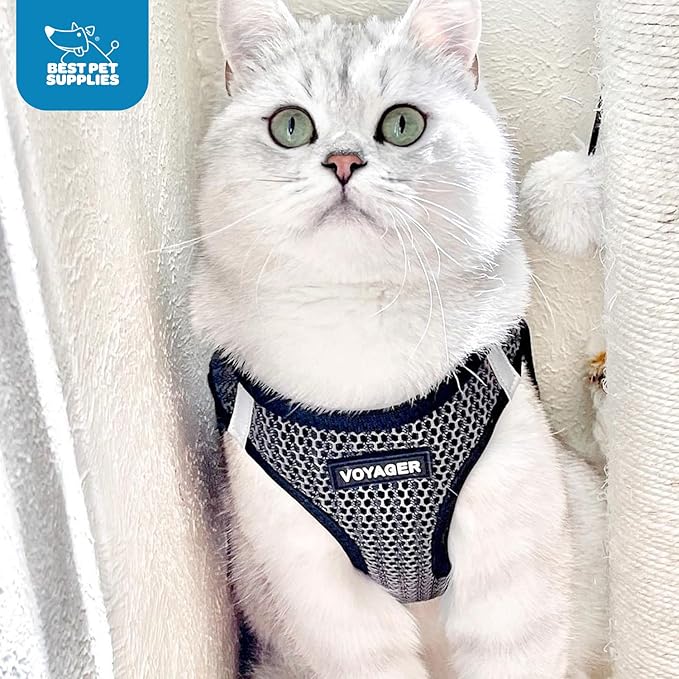 Best Pet Supplies Voyager Step-in Air Harness - All Weather Mesh, Reflective, No Pull Harness for Dogs, Cats - Secure with Hook & Loop Fastener, Buckle, Double D-Rings - Gray 2-Tone, XL