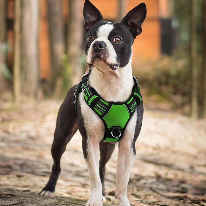 rabbitgoo Dog Harness Small Sized, No Pull Dog Vest with 3 Buckles, Adjustable Soft Padded Pet Harness with Easy Control Handle and Reflective Strips, Green, S