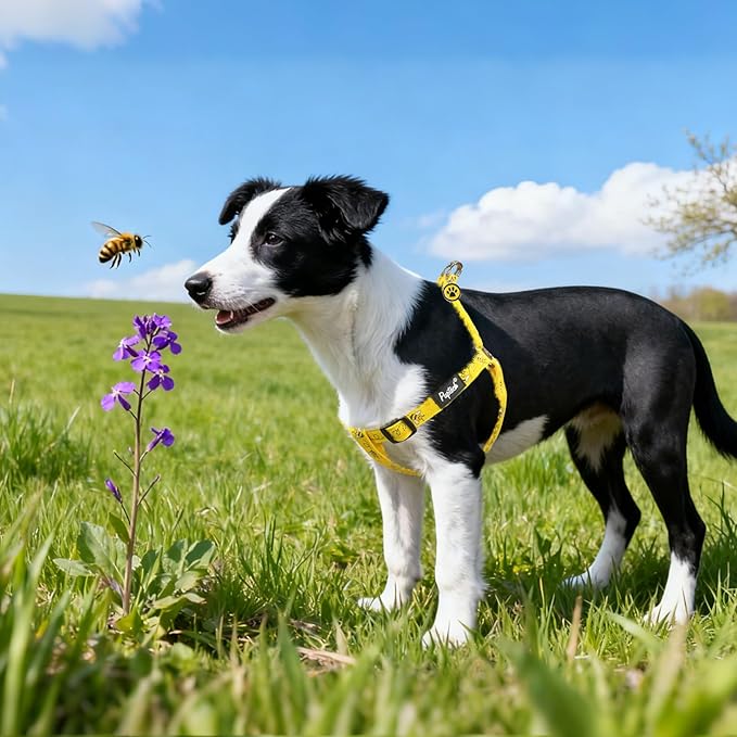 PUPTECK No Pull Dog Harness Soft Adjustable Basic Nylon Step in Puppy Vest Outdoor Walking with ID Tag, Yellow Bee, L