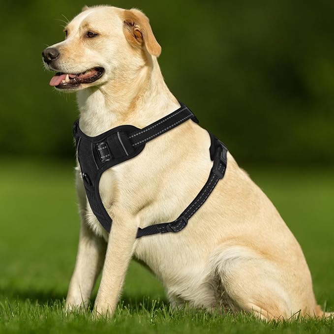 Adjustable Reflective Black No-Pull Dog Harness with 2 Leash Clips,Soft Padded Vest for Large Dog, Easy to Put on and Take Off, Black L