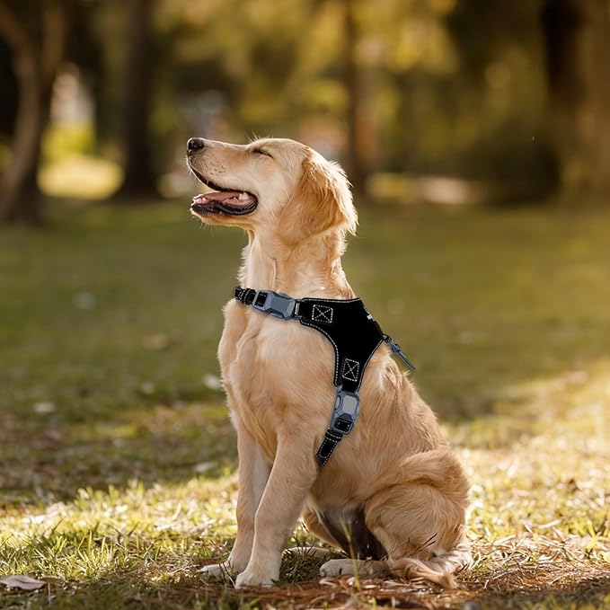 Magnetic Quick-Release Buckle Dog Harness and Leash Set, Easy Walk Faux Leather Puppy Harness and Leash, Easy On & Off Dog Vest for Small, Medium, Large Girl Boy Dogs for Training, Black,L