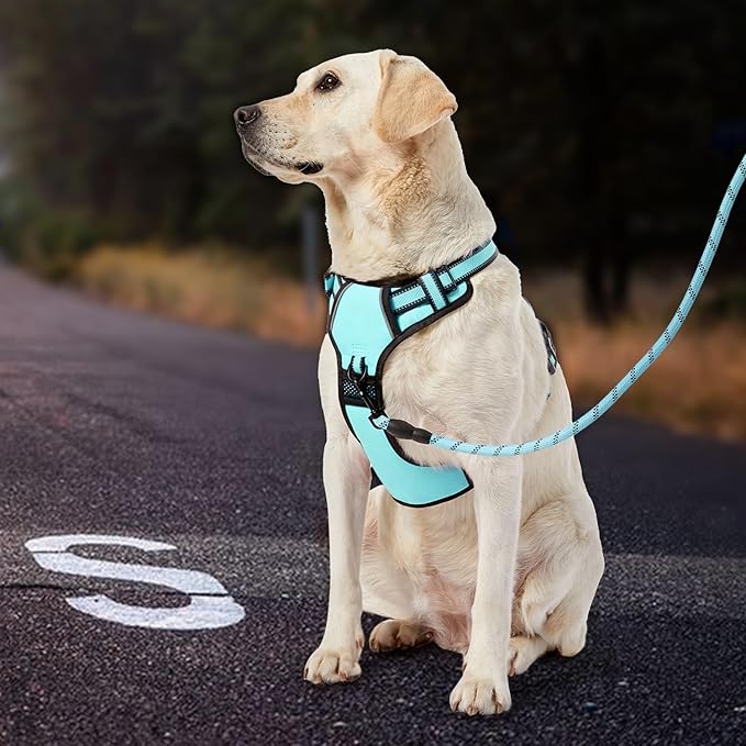 IVY&LANE No Pull Dog Harness with Leash Set, Reflective No Choke Pet Vest,Adjustable Oxford Dog Vest Harness with Easy Control Handle for Medium Dogs (Turquoise,M)