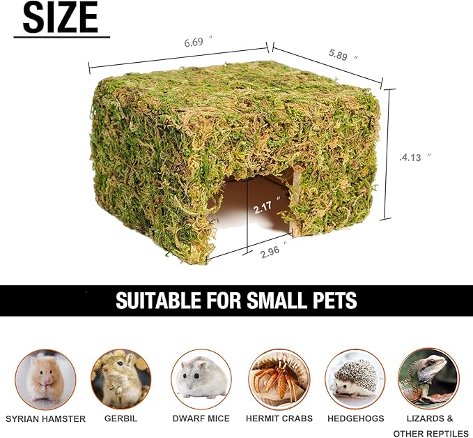 Hamster Hideout - Large, Natural Moss, Handcrafted for Syrian Hamsters, Rats & Guinea Pigs, Hermit Crab,Hedgehogs,Lizards & Other Reptiles(Square, Large)