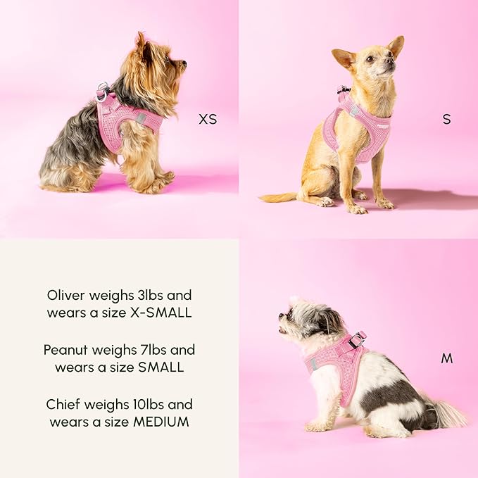 Downtown Pet Supply Step in Dog Harness for Small Dogs - Adjustable, Escape Proof Dog Harness with Reflective Trim - All-Weather, Fast-Drying Padded Mesh Fabric - Baby Pink, XS