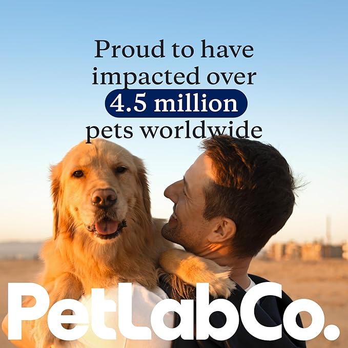PetLab Co. Joint Care Chews - High Levels of Glucosamine for Dogs, Green Lipped Mussels, Omega 3 and Turmeric - Hip and Joint Supplement to Actively Support Mobility - Packaging May Vary - (2-Pack)