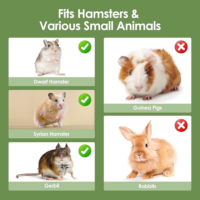 Hamster Cage Acrylic Hamster Habitat 360 Viewing Transparent Pet Rat Cage with Running Wheel & Hideout for Dwarf/Syrian Hamsters, Mice & Gerbils, Green, 13.3" L*10.2" W*12.4" H