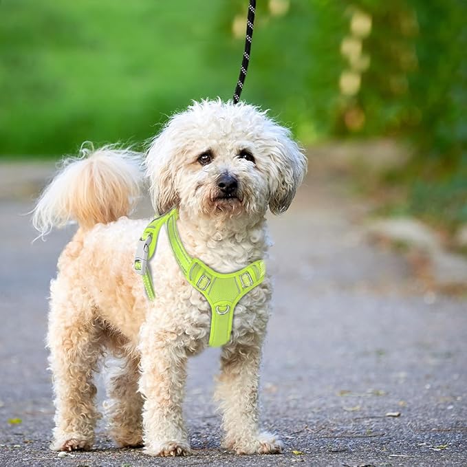 BARKBAY No Pull Dog Harness Large Reflective Dog Harness with Front Clip and Easy Control Handle for Walking Training Running with ID tag Pocket(Sunlight,XS)