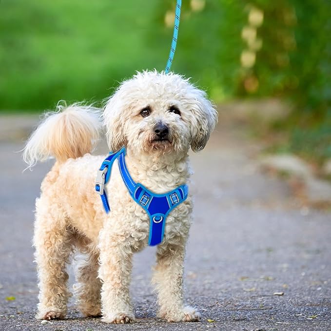 BARKBAY No Pull Dog Harness Large Reflective Dog Harness with Front Clip and Easy Control Handle for Walking Training Running with ID tag Pocket(Sapphire Blue & Blue,XS)