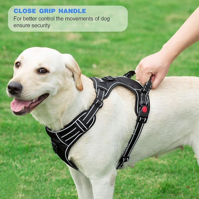 No Pull Dog Harness Adjustable Reflective Oxford Easy Control Medium Large Dog Harness with A Free Heavy Duty 5ft Dog Leash (S (Neck: 13"-18", Chest: 17.5"-22"), Pink Harness+Leash)