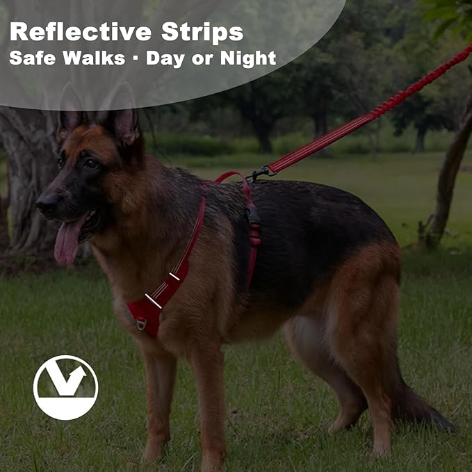 No Pull Dog Harness for Small Dogs, Adjustable, Reflective Breathable Padded Vest with 2 Metal Leash Clips and Handle for Control or Car Seatbelt Use, Red, S