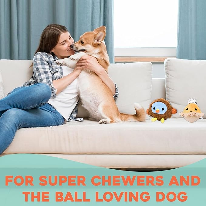 Flourish Pets 2 in 1 Multi-Layer Chew Toy for Active Dogs | Non-Toxic BPA Free Double Stitched Soft Fabric Exterior Dog Toys | Long-Lasting Dog Plush Toys โ Turkey + Pumpkin (4โ)