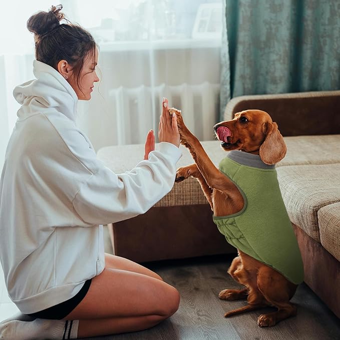 Queenmore Dog Sweater,Soft Fleece Vest Pullover Dogs Jacket with Elastic Stretchable,Warm Winter Dog Coats Cold Weather Doggy Dachshund Sweaters for Small Dogs Cats Boy or Girl (Green, XS)