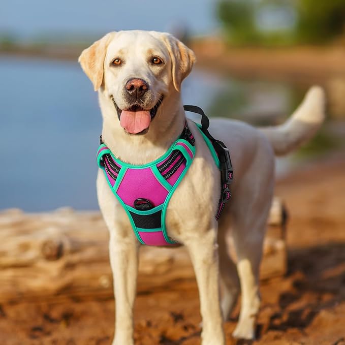rabbitgoo Dog Harness No Pull with 2 Leash Clips, Adjustable Soft Padded, Reflective Oxford No Choke Pet Vest with Easy Control Handle for Large Dogs, Hot Pink & Turquoise, L