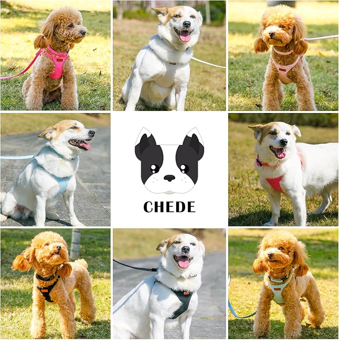 No Pull Dog Harness- Lightweight, Soft, Adjustable Small Harness Collar and Leash Set, Suitable for Cats Puppy Small and Medium-Sized Dog Outdoor Training and Running (Blue, XXS)