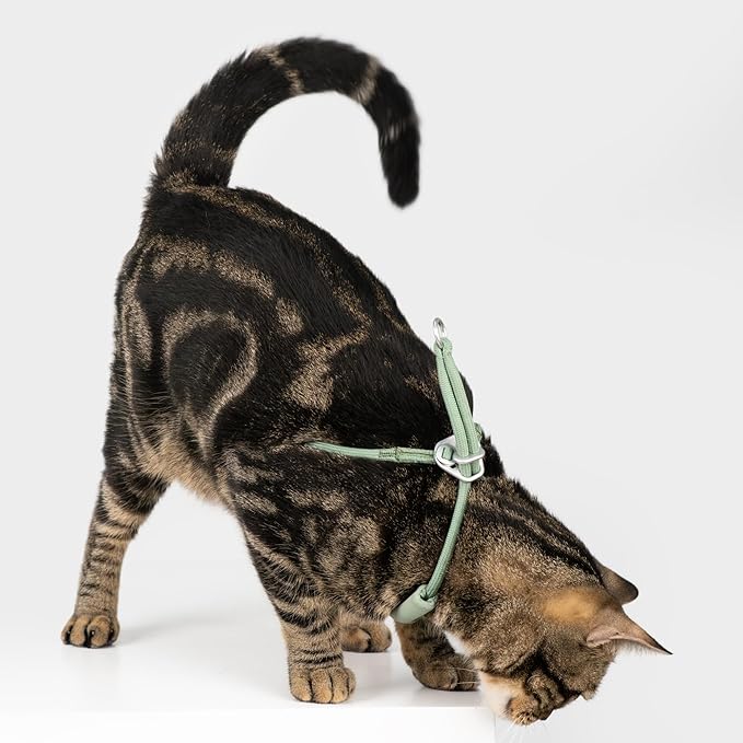 Escape Proof Y Shape Cat Harness Anti-Choke Buckle Adjustable Comfortable Padded Cat Vest Harness Anti Escape Cat Rope Harness for Kitten Small Medium Large Cats (Burgundy, S)