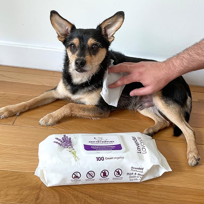 Best Pet Supplies Pet Wipes for Dogs - Dog Wipes Cleaning Deodorizing, for Coats, Ears, Paws - Calming Lavender, Aloe Vera, 100 Count