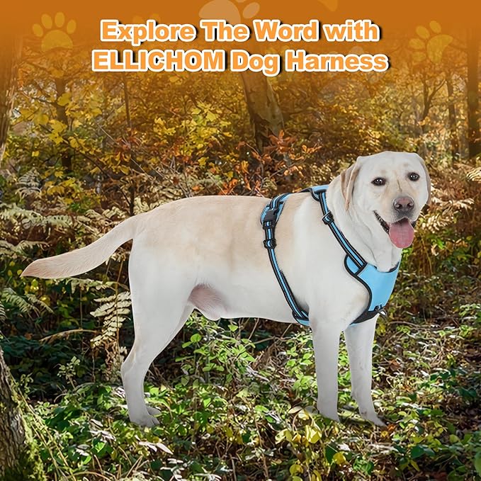 No Pull Dog Harness with 3 Snap Buckles,No Choke Front Lead pet Harness Reflective and Adjustable Soft Padded Vest for Small Medium Large Dog (Blue, Extra Large)