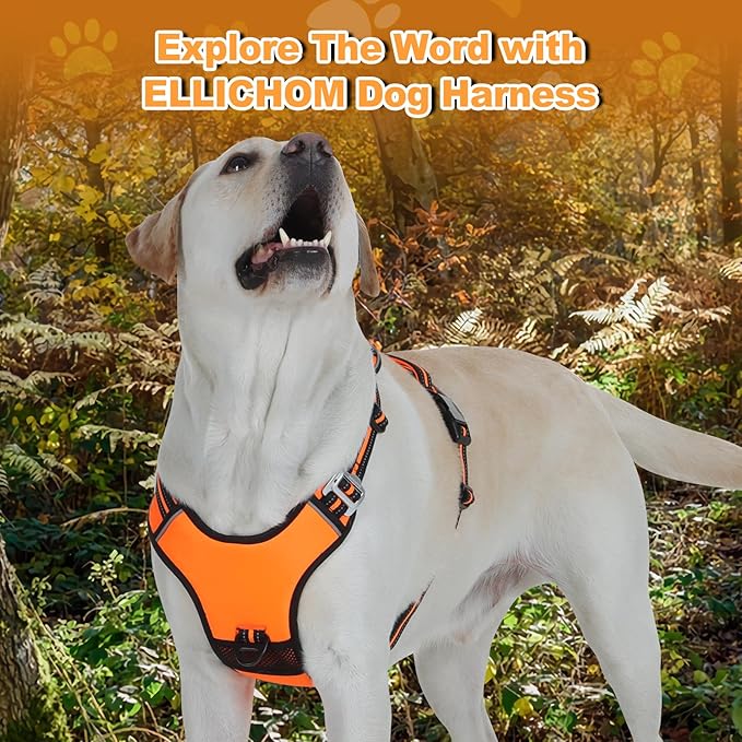 No Pull Dog Harness with 3 Snap Buckles,No Choke Front Lead pet Harness Reflective and Adjustable Soft Padded Vest for Small Medium Large Dog (Orange, Large)