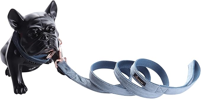 ARING PET Dog Collar and Leash, Velvet Dog Collar and Leash Set, Soft & Comfy, Adjustable Collars for Dogs Medium