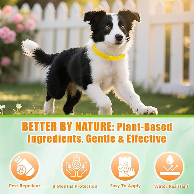 Natural Flea & Tick Prevention Dog Collars – 2-Pack Adjustable Waterproof Collars with Essential Oils (Lemon Eucalyptus, Citronella, Lavender, Linalool),Yellow, Safe for All Breeds