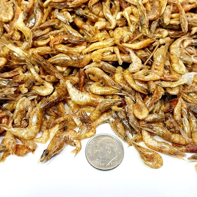 Aquatic Foods Inc. Red Shrimp-Freeze Dried 1/2" to 1 &1/4" Floating Red River Shrimp for All Tropicals, Turtles, Koi & Pond Fish, Rodents…1-lb Lg Jar