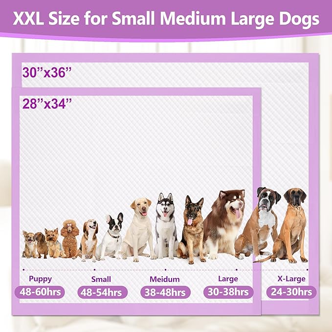 Gimars XXL 30“x36” Thicken 6 Layers Ultra Absorbency Dog Pee Pad Extra Large 3S Quick Dry Leakproof Disposable Urine Pads for Dogs, Cats, Rabbits Pets Purple