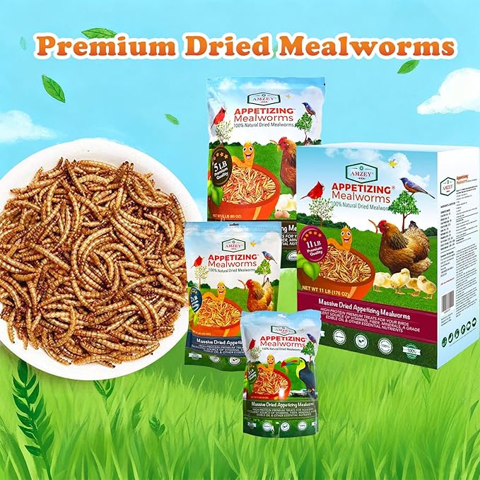 Amzey Dried Mealworms 1 LB, 100% Natural Meal Worms for Chicken & Birds, Organic Chicken Feed for Laying Hens, High Protein and Nutrition, Zipped Bag