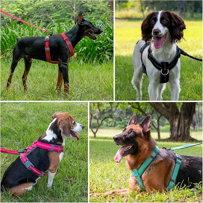 Plutus Pet No Pull Dog Harness, Adjustable Nylon Harness with Soft Padding, Reflective and Heavy Duty Dog Harness for Small, Medium, Large Dogs(Cyan, M)