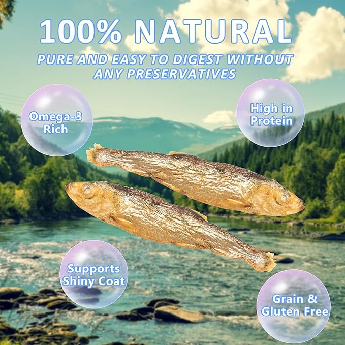 Herring Fish Dog Treats, Freeze Dried, Wild-Caught, Single Ingredient, High-Protein, Omega 3 & 6 for Skin & Coat, No Additives, Grain-Free Cat & Dog Treats (4.0 oz)