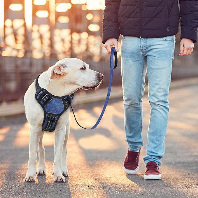 BUMBIN Dog Harness for Large Dogs, No Pull Adjustable No Choke Pet Vest with Dog Leash Fit Smart Reflective Pet Walking Harness for Training Easy Control Soft Handle Denim Blue S