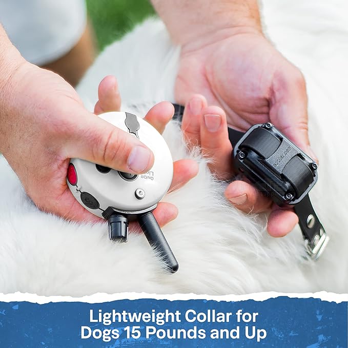 Educator ET-302 Zen Mini E Collar for Dog Training with Remote - 1/2 Mile Range, Waterproof, 100 Blunt Stimulation Levels, Tone or Vibration Mode, Night Light for Small, Medium & Large Dogs (2 Dogs)