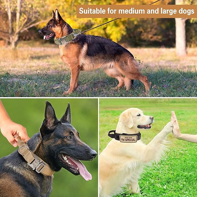 Tactical Dog Collar and Leash Set Heavy Duty Military Dog Collar with Handle and Metal Buckle for Medium and Large Dogs (Black, M)