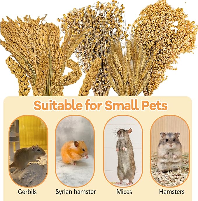 Natural Hamster Grain & Herb Habitat Deocr, Edible Hamster Sprays Herbs Bedding Mate, Hamsters Cage Enrichment Decoration Accessories for Gerbil Dwarf Syrian Hamsters Mouse Guinea Pig Mice