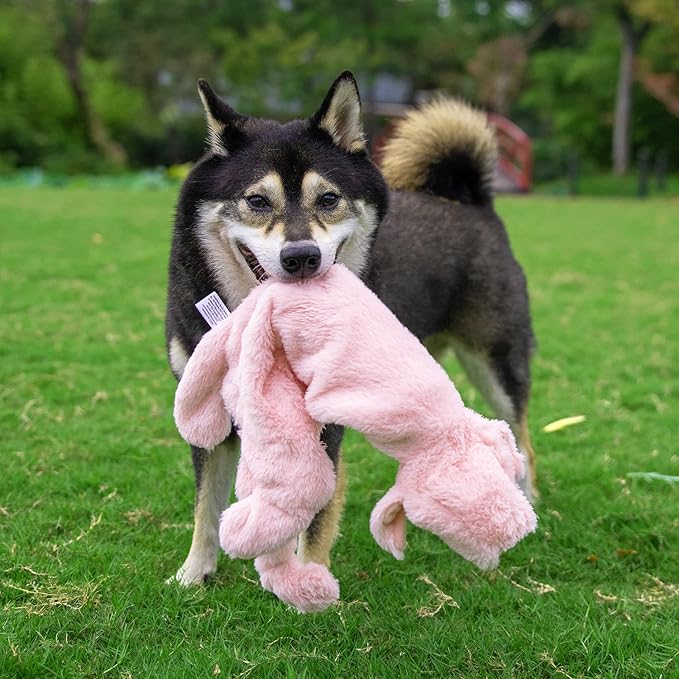 Best Pet Supplies Squeaky Dog Toys with Soft Durable Fabric for Small, Medium and Large Pets Interactive Toy for Indoor Play, Supports Active Biting and Play - Hare, Pig, Large