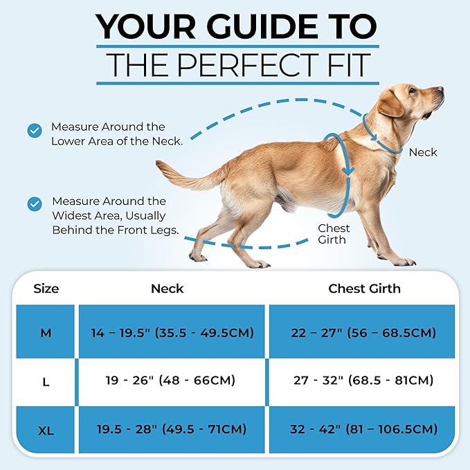 Step in Dog Harness for Medium Dogs, Silver Gray, Adjustable, Easy On Off, No Pull Through Design, 2 Dog Leash Points, 3M Reflective Trim, Neoprene Padded Control Handle