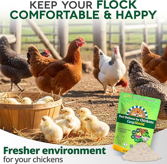 Dust Bath Herb Blend for Chickens - Keep Feathers Clean & Healthy - Food Grade, Natural Nesting Box Herbs for Bedding, Coop Floor, USA (12 oz)