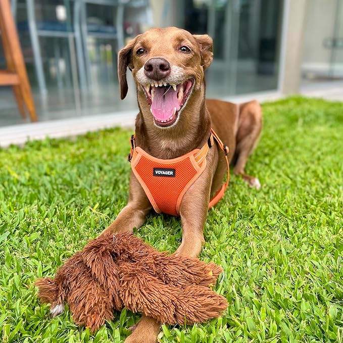 Best Pet Supplies Voyager Mesh Dog Breathable Harness Reflective Stitching, All Weather Adjustable for Walking Training, or Running - Heavy Duty & Durable, Harness (Orange), XS