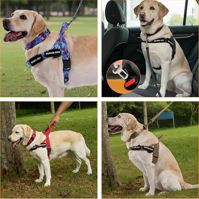 Annchwool No Pull Dog Harness,Heavy Duty Collar & Leash Set-Leash with Double Handle & Car Seatbelt Clip-Easy Control for Walking Training Medium Large Size Dogs(Camo Purple,XL)