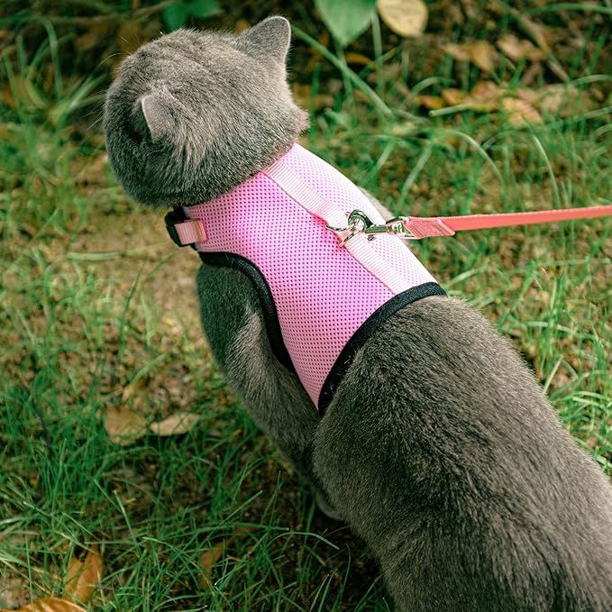 PUPTECK Soft Mesh Cat Vest Harness and Leash Set Puppy Padded Pet Harnesses Escape Proof for Cats Small Dogs Rabbits Bunny