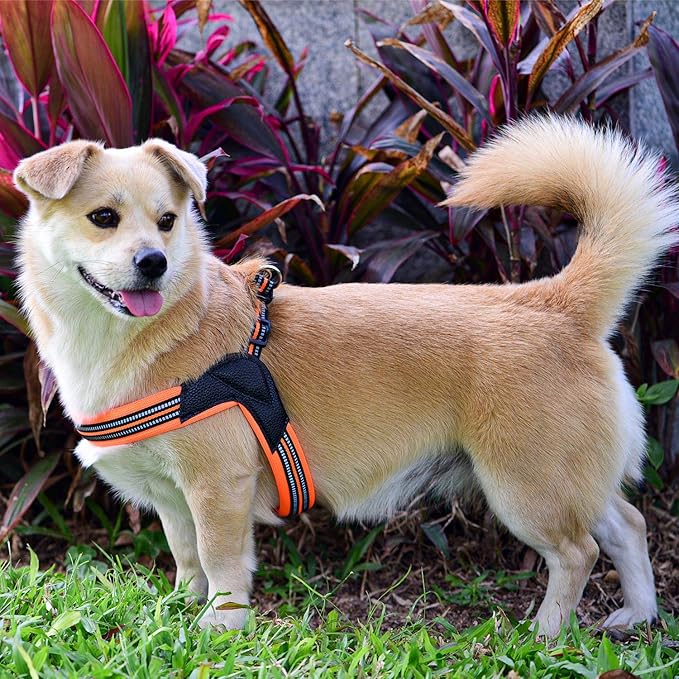 Dog Harness No Pull Ultra Soft Breathable Padded Pet Harness 2 Adjustable Botton, 3M Reflective Pet Harness for Dogs Easy Control for Small Medium Large Dogs (L, Blue)