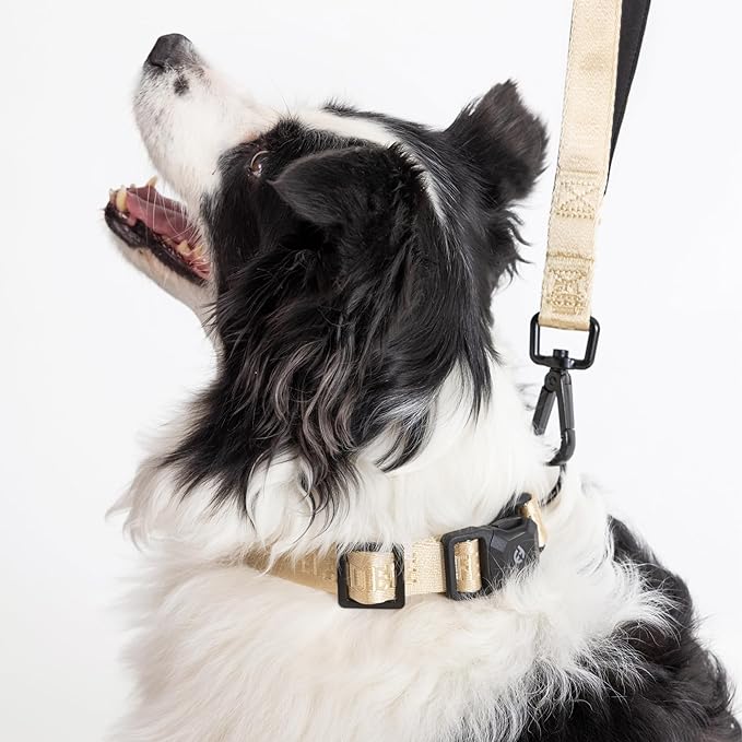 2025 New Edition, Fei & Eve MagEase Dog Collar - Patented Magnetic Buckles | Fur-Safe | Premium 210D Nylon | 450LB Escape-Proof | Adjustable Fit | Medium (Champagne)