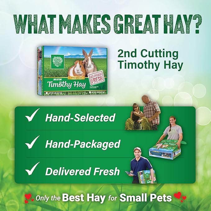 Small Pet Select 2nd Cutting Perfect Blend Timothy Hay, Food for Guinea Pig, Rabbit, Hamster, Bunny, Chinchilla, or Other Small Animals, Natural Hay Grown in The USA, 40lb