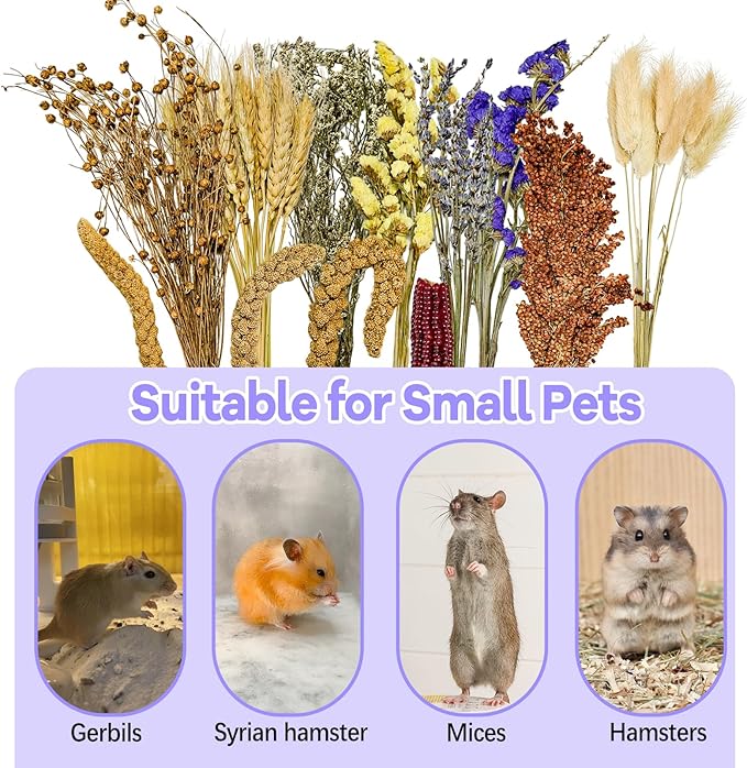 Natural Hamster Flower & Herb Habitat Deocr, Edible Hamster Sprays Flowers Bedding Mate, Hamsters Cage Enrichment Decoration Accessories for Dwarf Syrian Hamster Gerbil Mice Degus