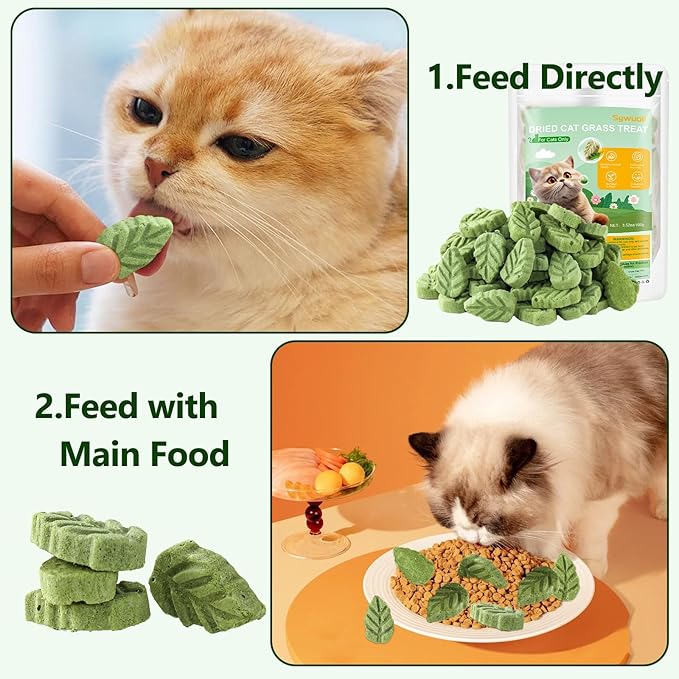 100g/3.52oz Cat Grass Treats, Cat Grass Teething Stick for Hairball Remove and Teeth Cleaning, Edible Cats-Grass Stick Snack