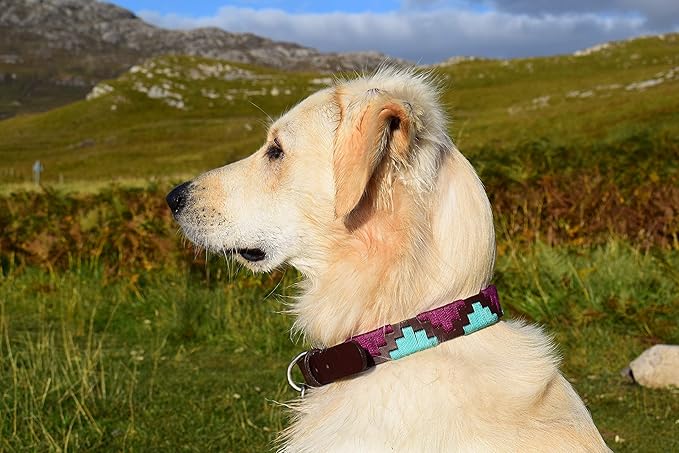 Gaucho Goods Soft Leather Dog Collar - Miami (L)