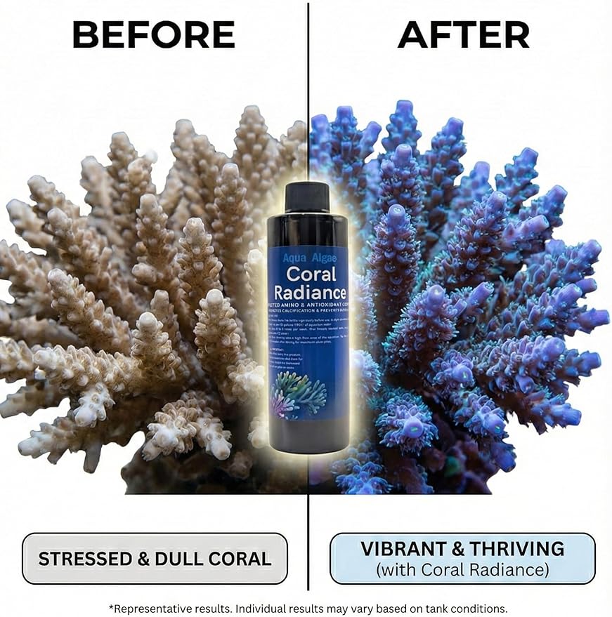 Coral Radiance β Premium Reef Aquarium Amino Acids with Glutathione β Targeted Coral Food for Growth, Color & Bleaching Resistance β Ultra-Pure Formula for SPS, LPS & Soft Corals - 8 fl oz