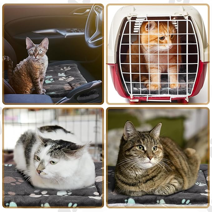 Tuanse 4 Pack Ultra Soft Dog Cat Bed Mat with Cute Prints Reversible Fleece Dog Crate Kennel Pad Cozy Washable Thickened Hamster Guinea Pig Pet Bed Mat for Small Animals(23 x 18 Inches,Black)